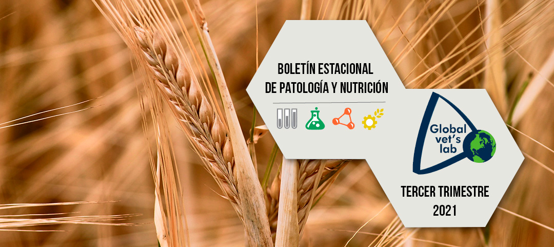 Boletin-estacional-patologia