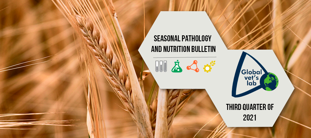 SEASONAL PATHOLOGY AND NUTRITION BULLETIN