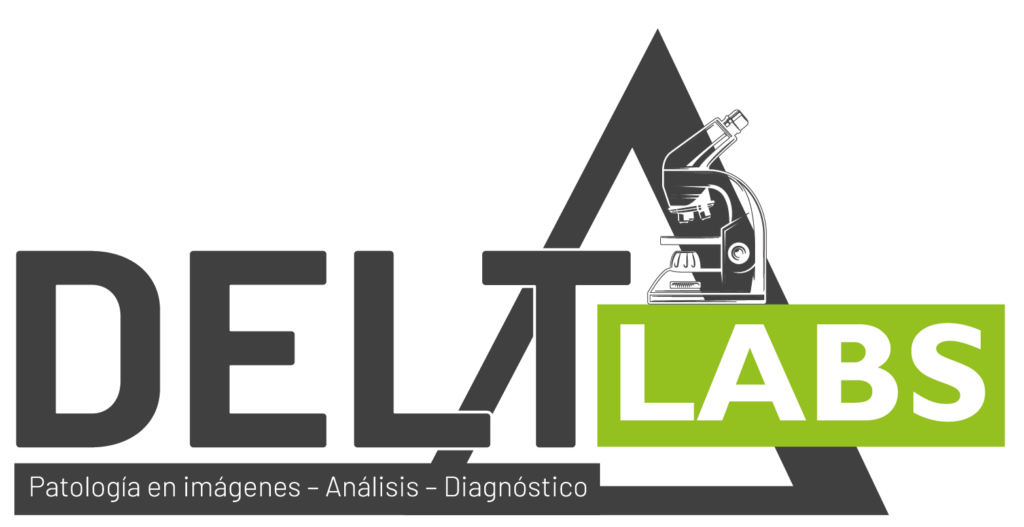 diagnostic service by images Delta Labs